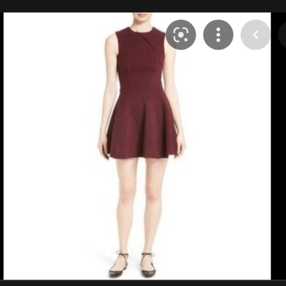 Ted Baker Azelia ALine Skater Maroon Burgundy Dress size 1 nwot - Picture 4 of 5